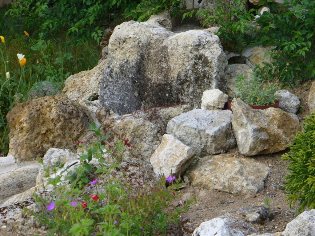 Chambre D'Hotes Dyrslot Saint-Denis-de-Pile Εξωτερικό φωτογραφία
