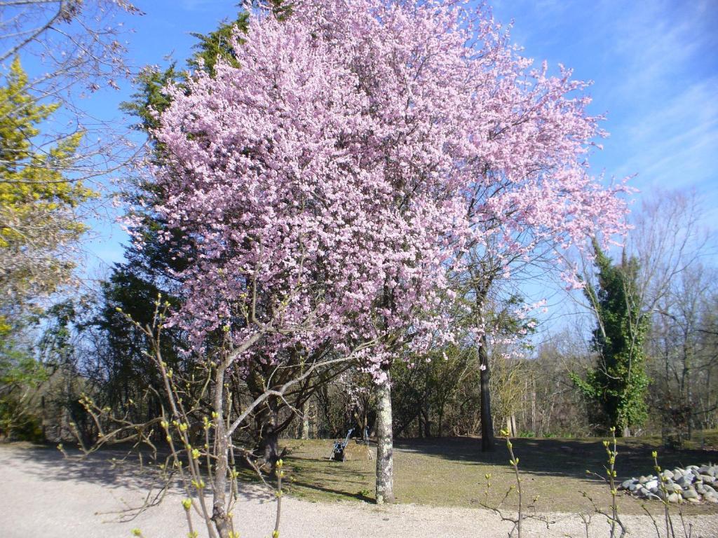 Chambre D'Hotes Dyrslot Saint-Denis-de-Pile Εξωτερικό φωτογραφία